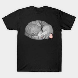 Sleeping Curled Gray Tabby Cat T-Shirt